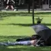 조지아, 한겨울에 ‘이례적 고온’… 일부 지역 기록 경신 가능성