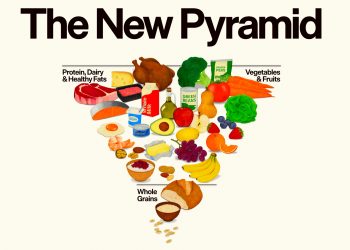 미국 식품 피라미드 뒤집혔다.