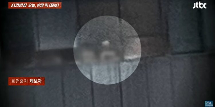 ‘사우나 속 여성’ 실루엣 또렷…서울 서초구 호텔 내부 노출 충격