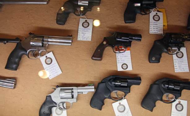 조지아 상원, 지방정부 총기 보관 규제 금지 법안 통과