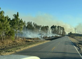산불 연기 확산…조지아 해안 대기질 ‘민감군 유해’ 경보