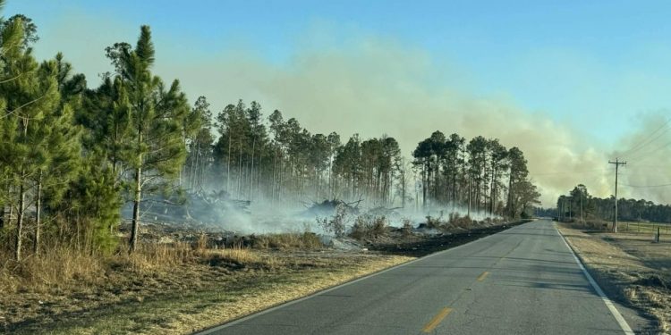 산불 연기 확산…조지아 해안 대기질 ‘민감군 유해’ 경보