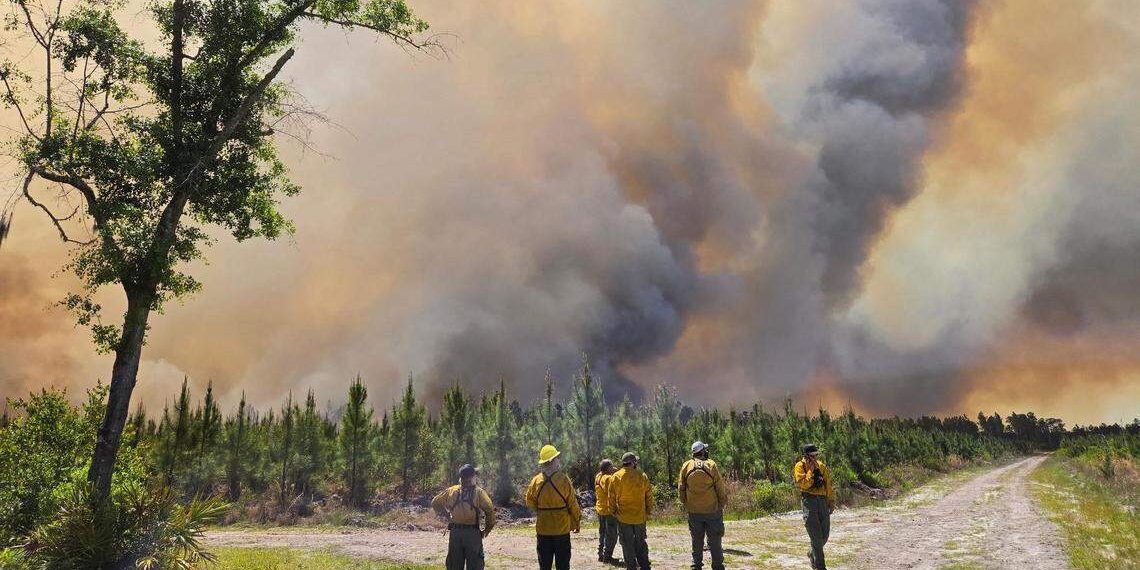 조지아 남부 산불 비상사태 선포…한 달간 총력 대응