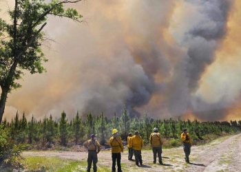 조지아 남부 산불 비상사태 선포…한 달간 총력 대응