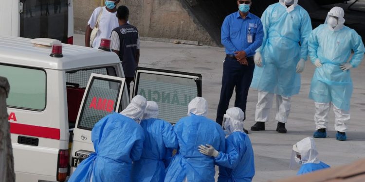 한타바이러스, 다음 팬데믹 되지 않는다… 보건 당국 “일반 대중 위험 극히 낮아”