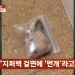입었던 ‘속옷·스타킹’ 남성에게 판매한 20대 오피스텔 여성…이웃 “무섭다”