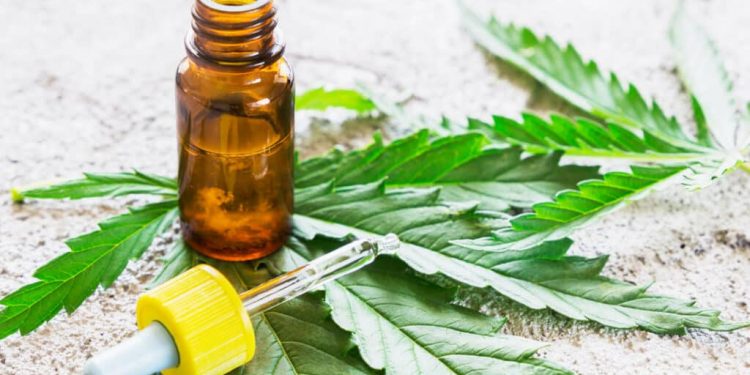 조지아서 마리화나는 불법… THC 젤리·음료는 왜 팔릴까?