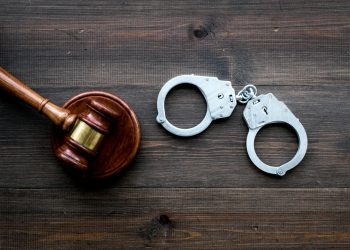 조지아 아동 성범죄 단속…사바나 등 5개 도시서 5명 체포