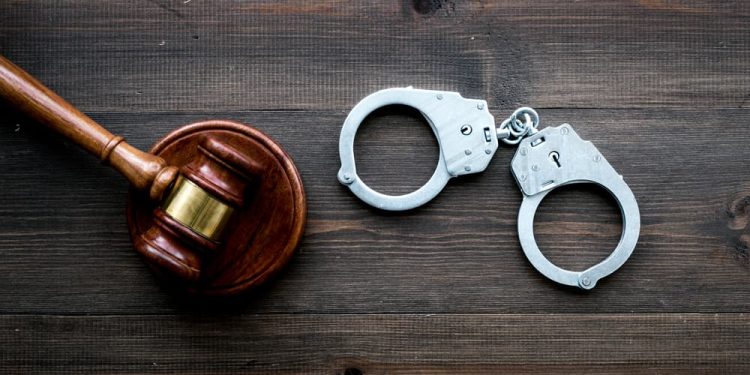 조지아 아동 성범죄 단속…사바나 등 5개 도시서 5명 체포